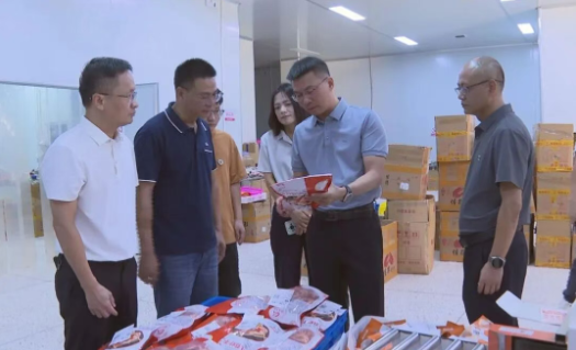 縣長調研電商及口岸經濟工作，聚焦海淘物流發展新路徑